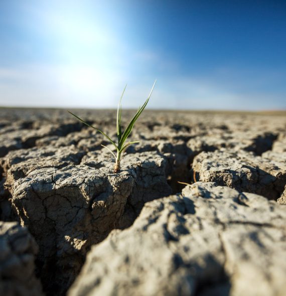 Drought land